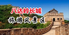 插肛视频中国北京-八达岭长城旅游风景区